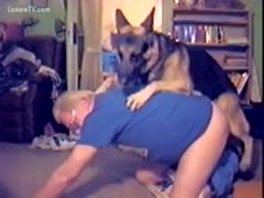 In this animal movie, an older guy had a large German Shepherd smash his back door.